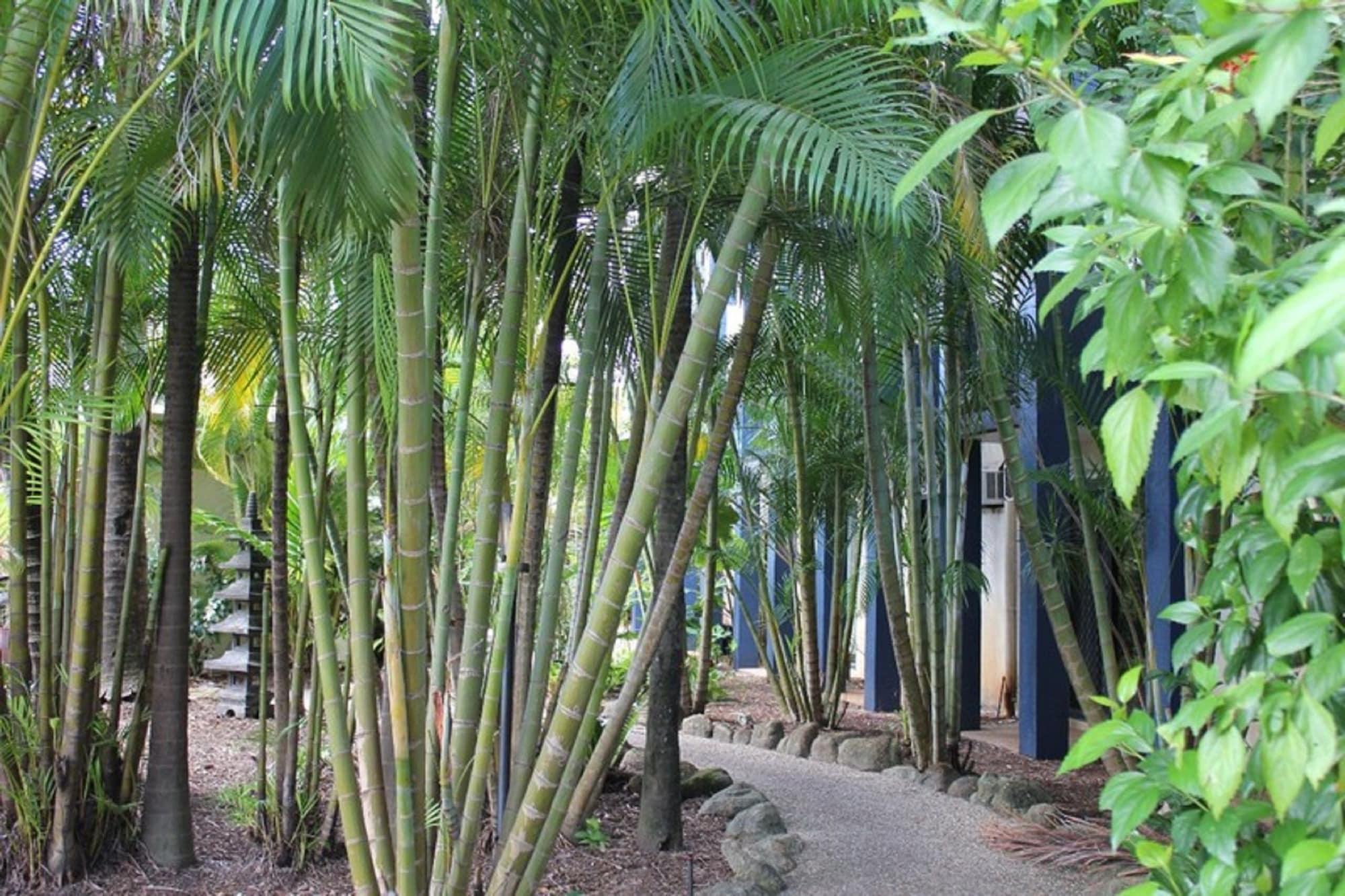 Bohemia Resort Cairns Kültér fotó